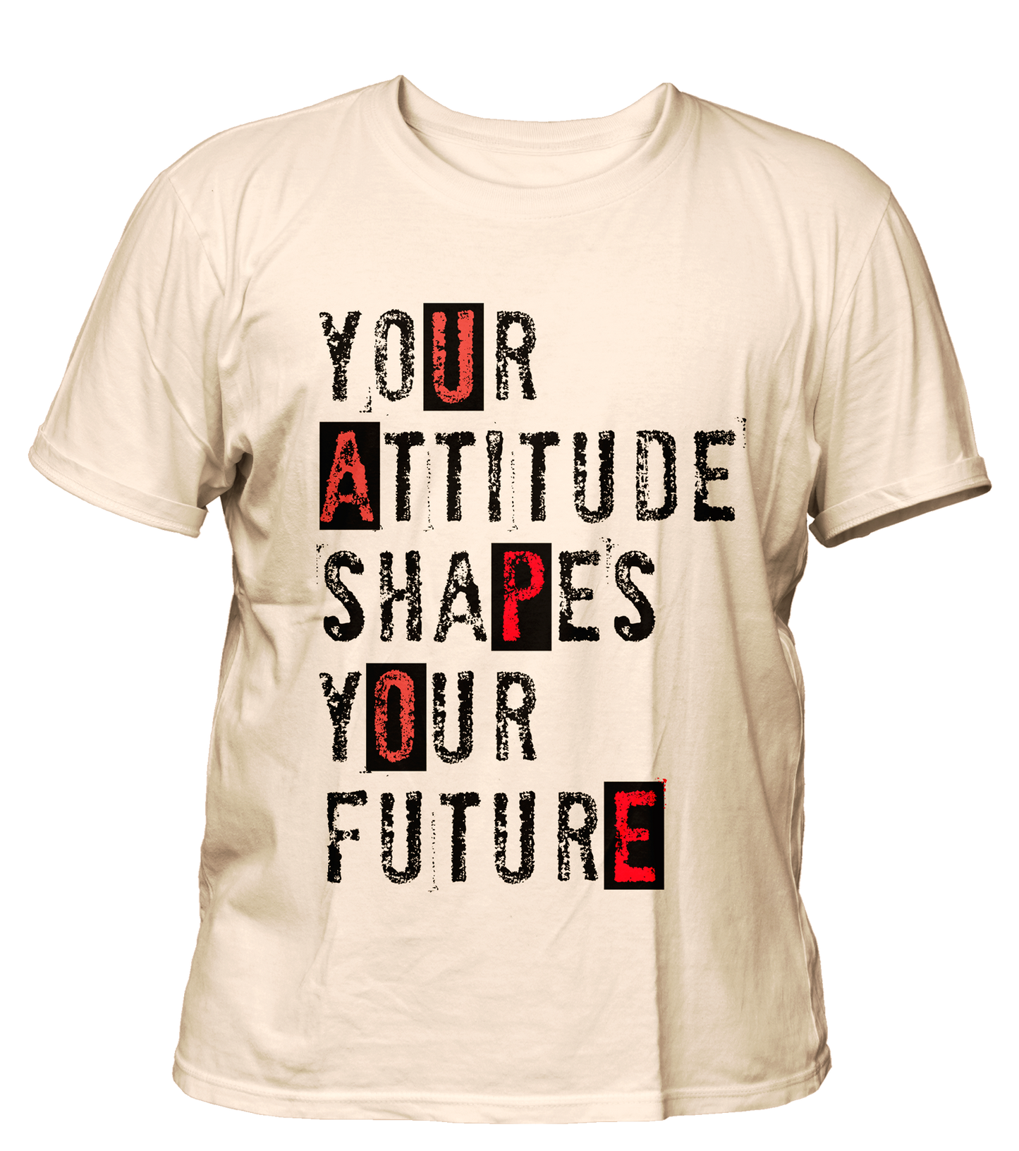 Quote - Attitude - Premium, 200gsm Cotton T-shirt, Regular, Biowashed