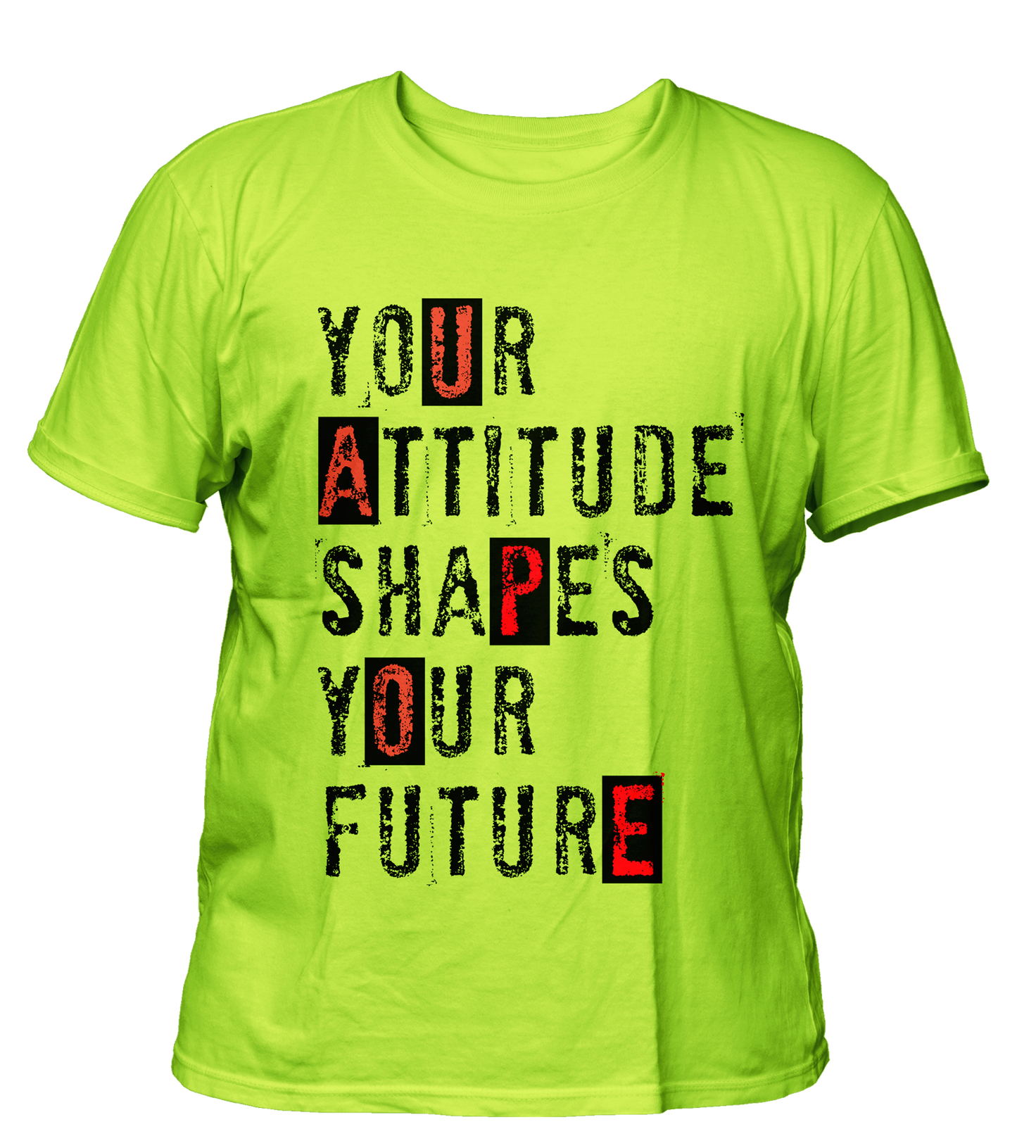 Quote - Attitude - Premium, 200gsm Cotton T-shirt, Regular, Biowashed