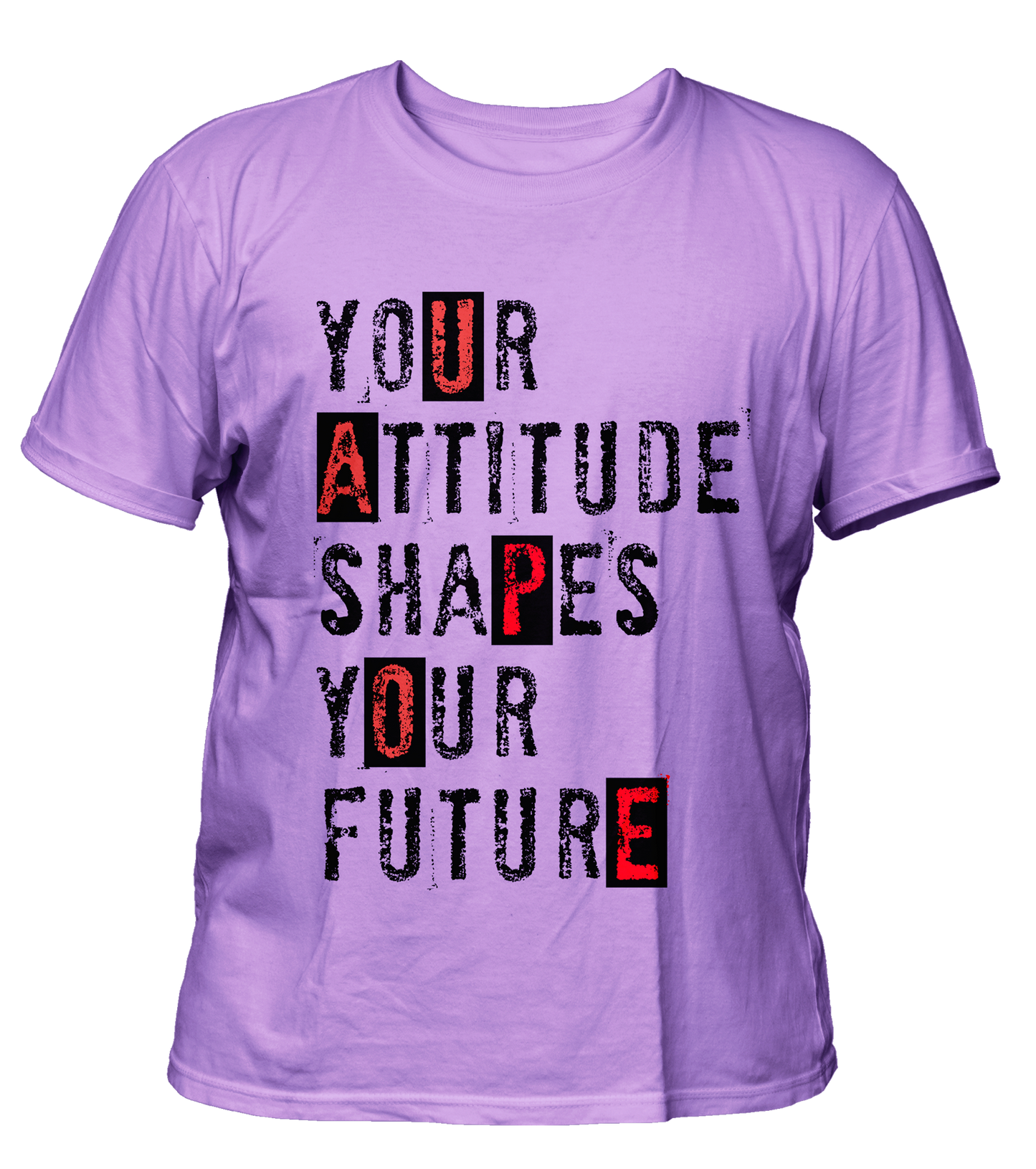 Quote - Attitude - Premium, 200gsm Cotton T-shirt, Regular, Biowashed